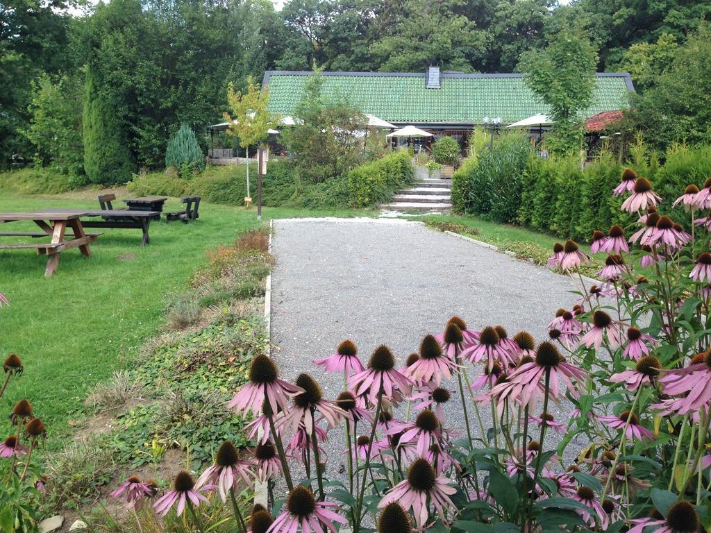 Erholungspark Wilhelmsruh Mohnesee Bagian luar foto